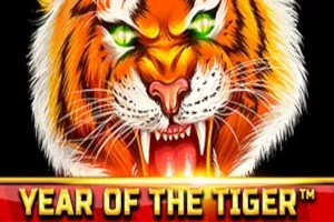 Арт слота Year of the Tiger